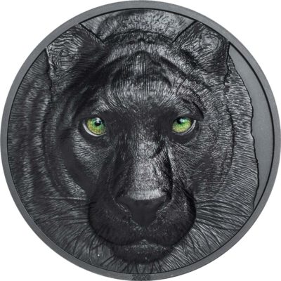 BLACK PANTHER Hunters By Night