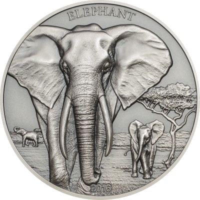 tanzania-2016-elephant